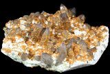 Smoky Quartz Cluster Encrusted With Garnets - Wow! #51036-6